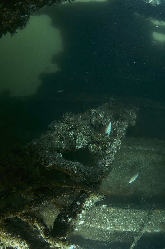 AHU1102 - ciesub