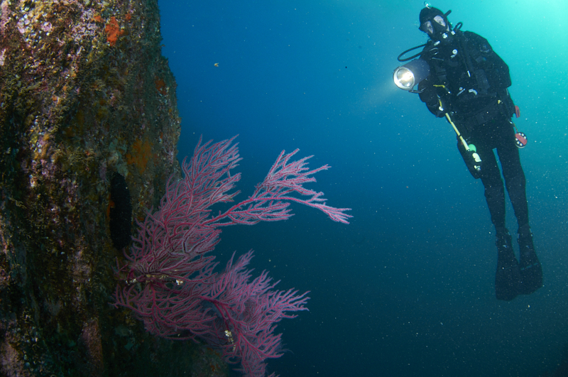 AHU3073 - ciesub