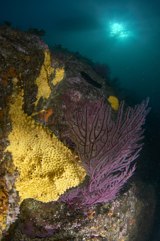 AHU3107 - ciesub