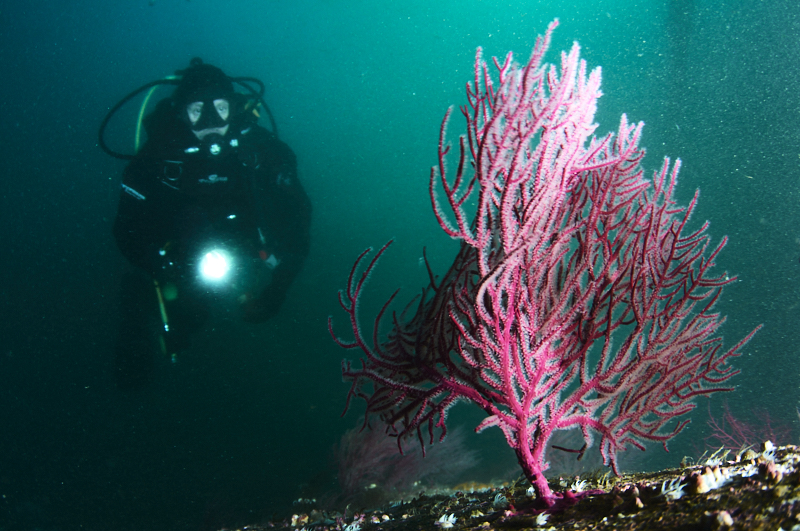 AHU3163 - ciesub