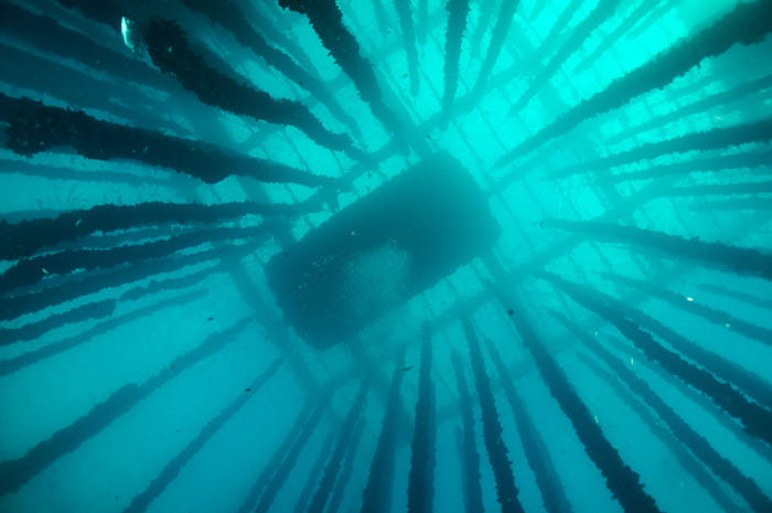 AHU6637 - ciesub