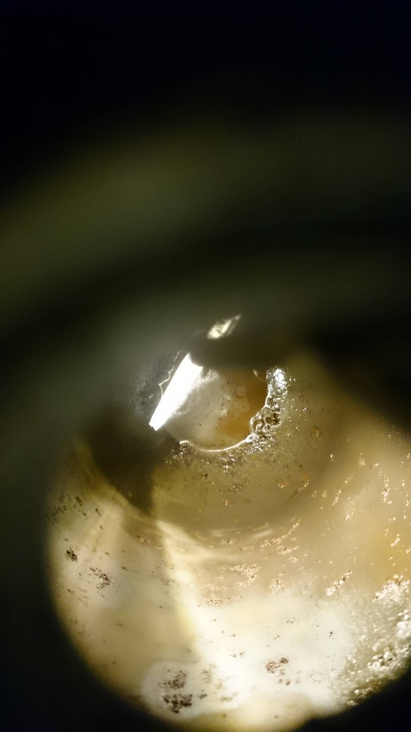 DSC_1628