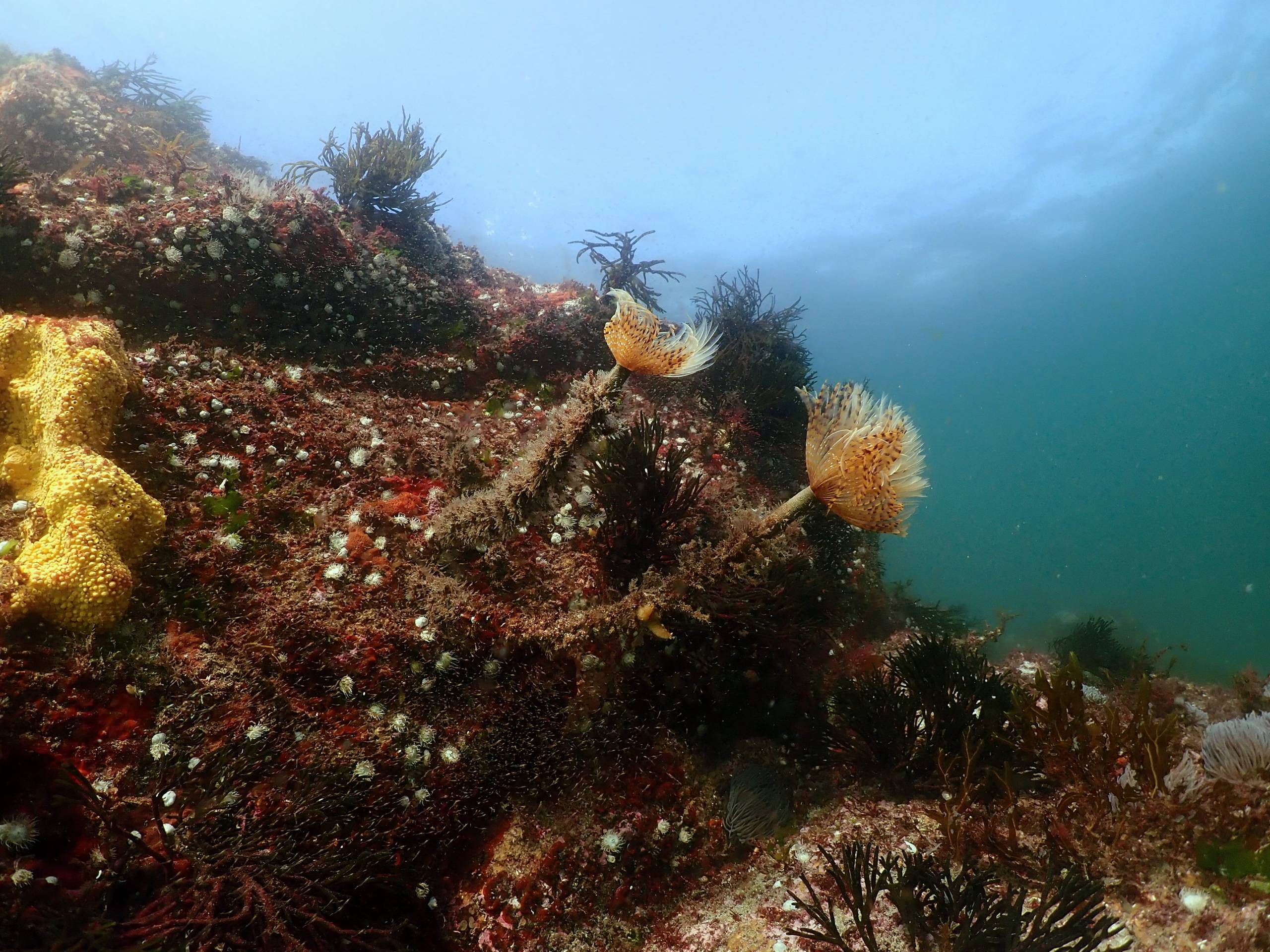 PA subr. PB071640 scaled - ciesub